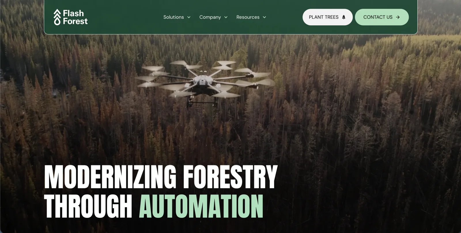 Flash Forest homepage