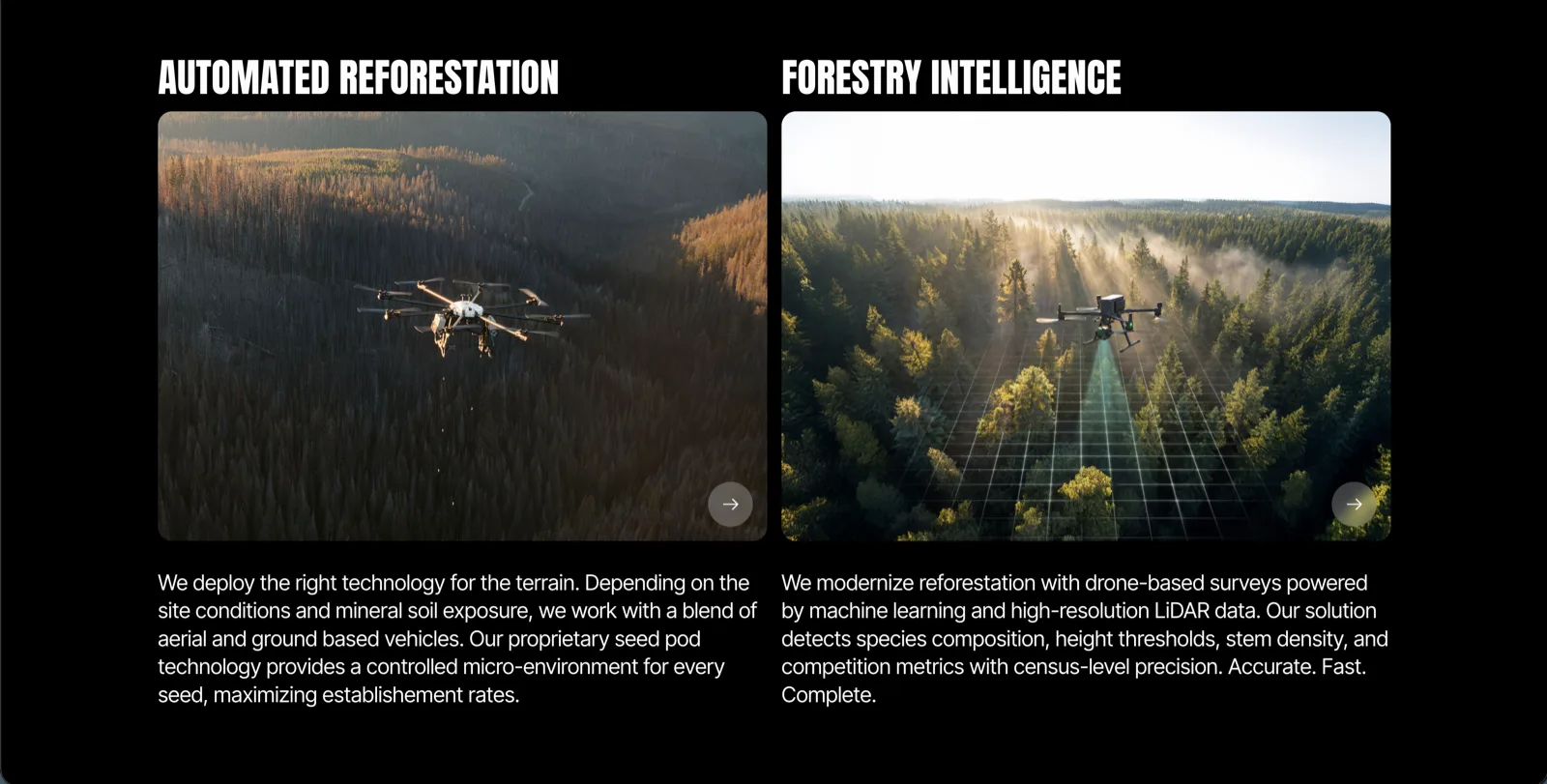 Flash Forest technology section