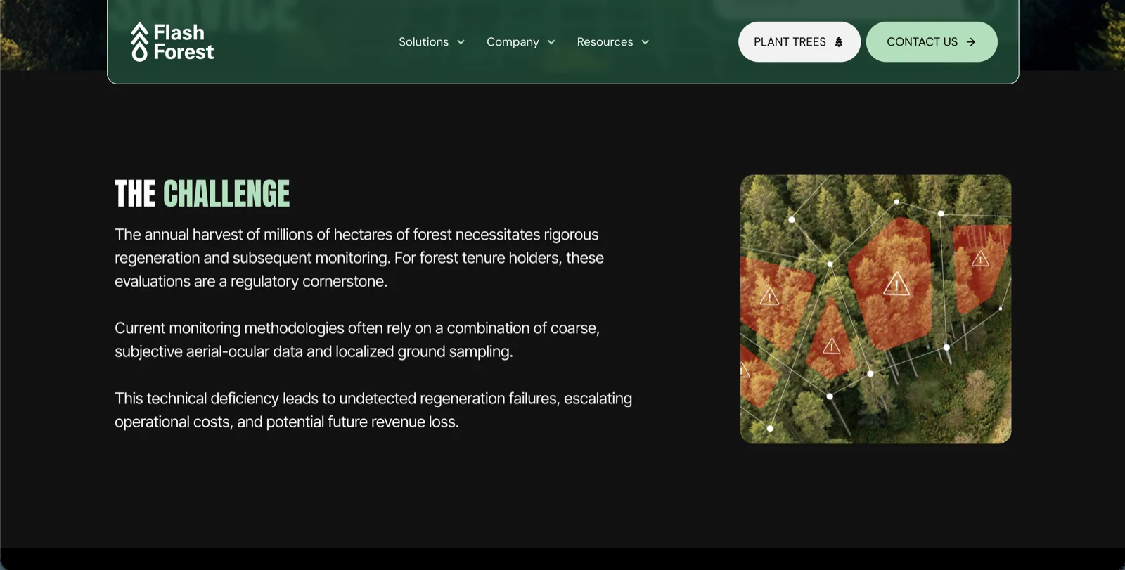 Flash Forest site