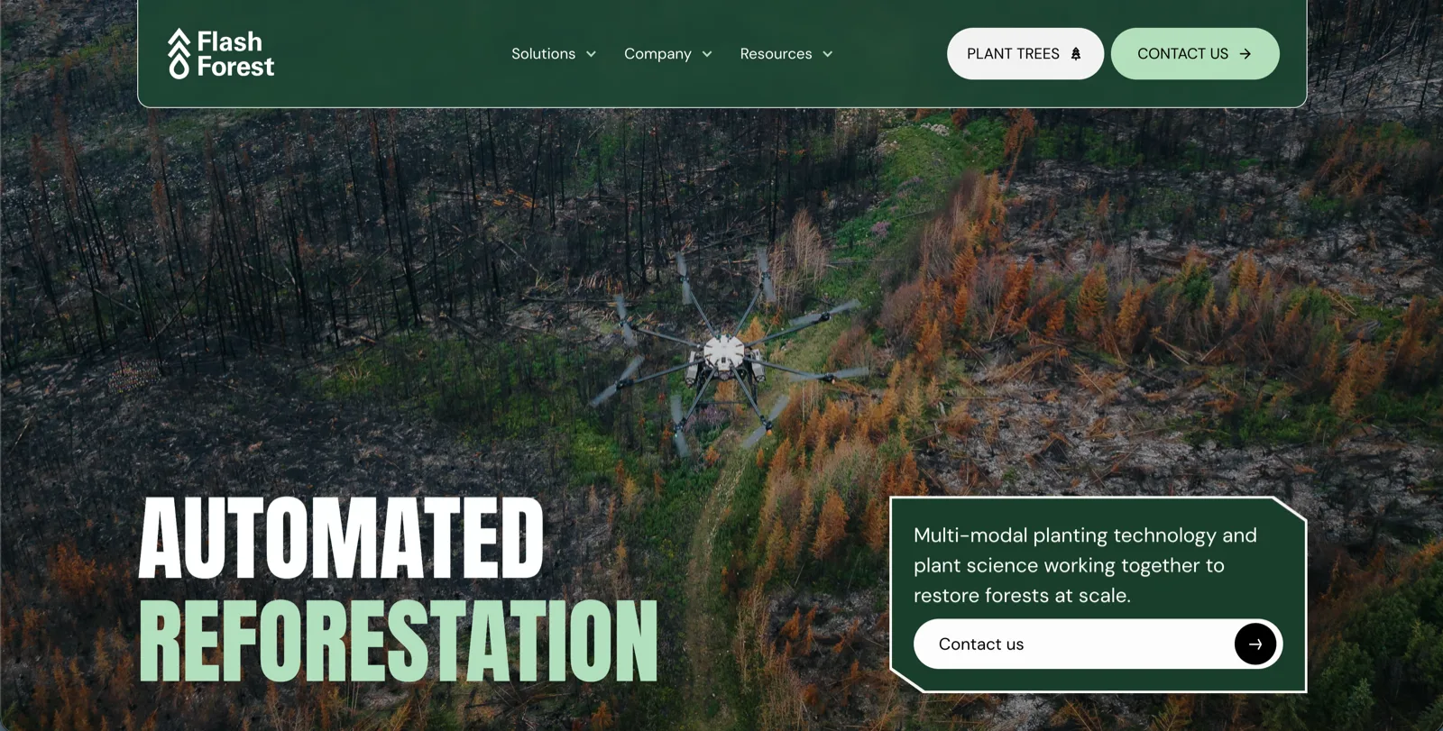 Flash Forest site