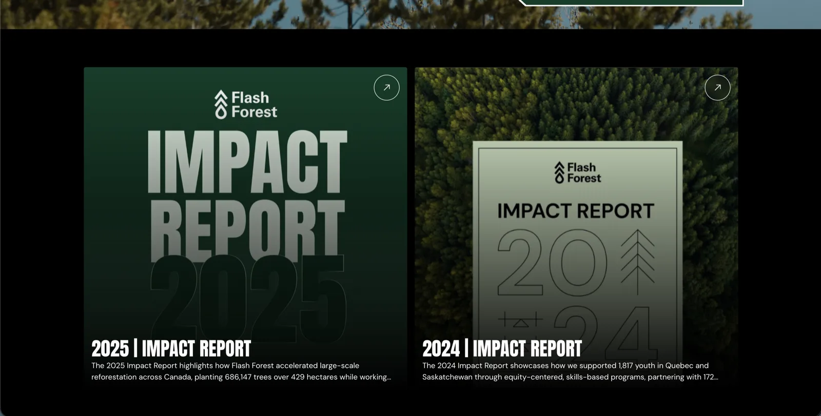 Flash Forest site